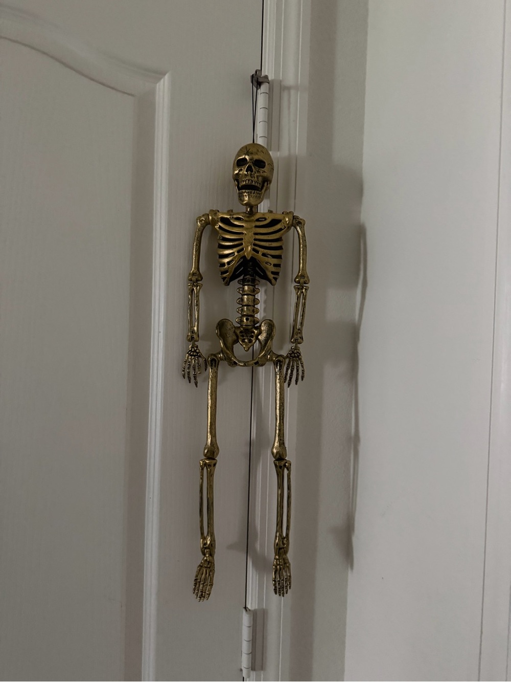 Gold Hanging Skeleton Wall Accent - Holiday Decor